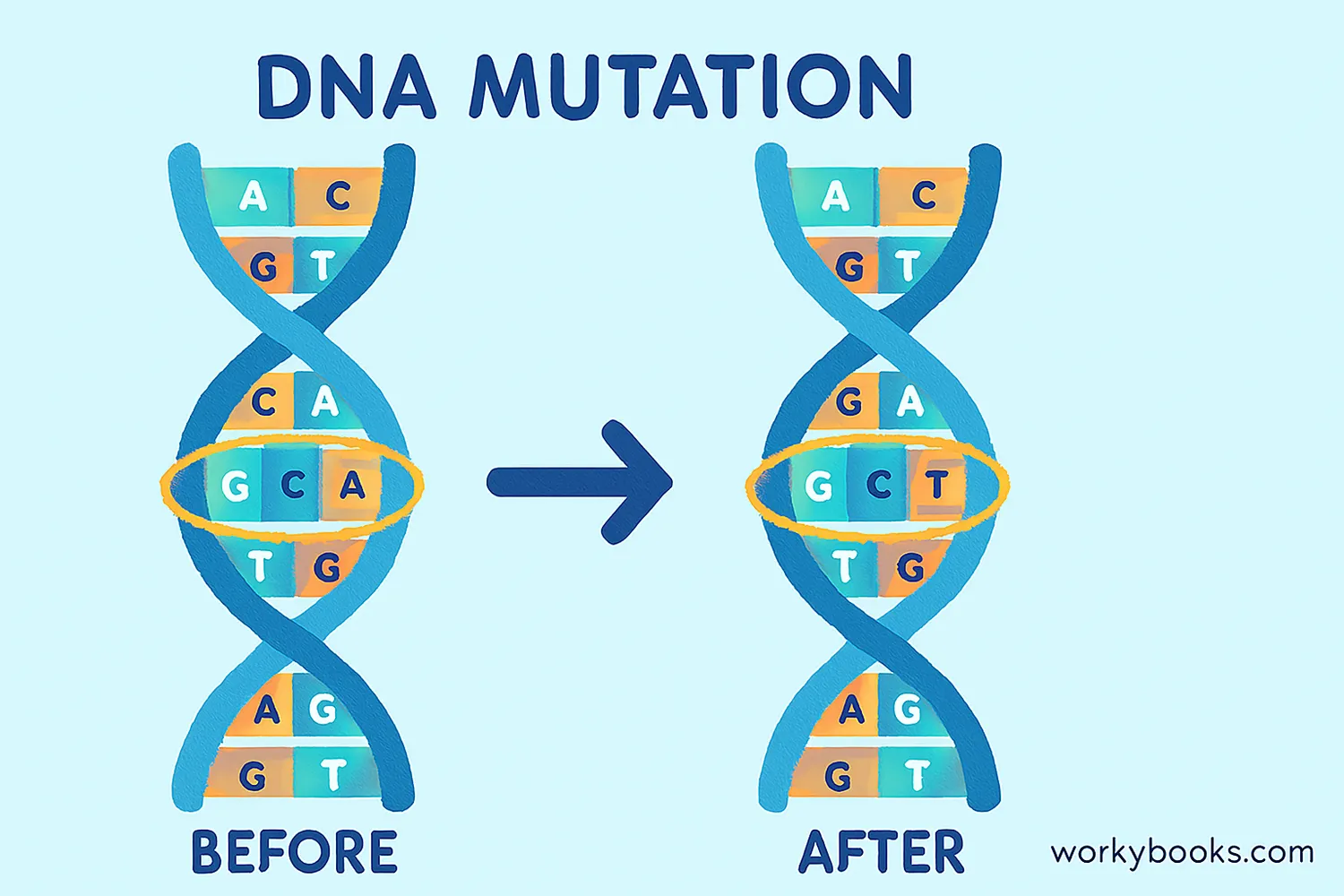 Illustration showing DNA structure with a mutation