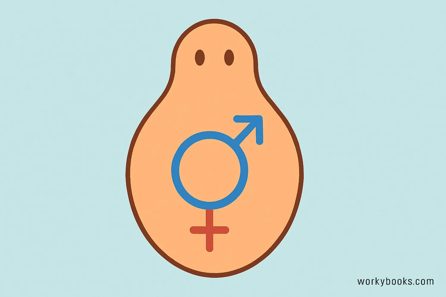 Diagram showing a single organism with both male and female reproductive symbols