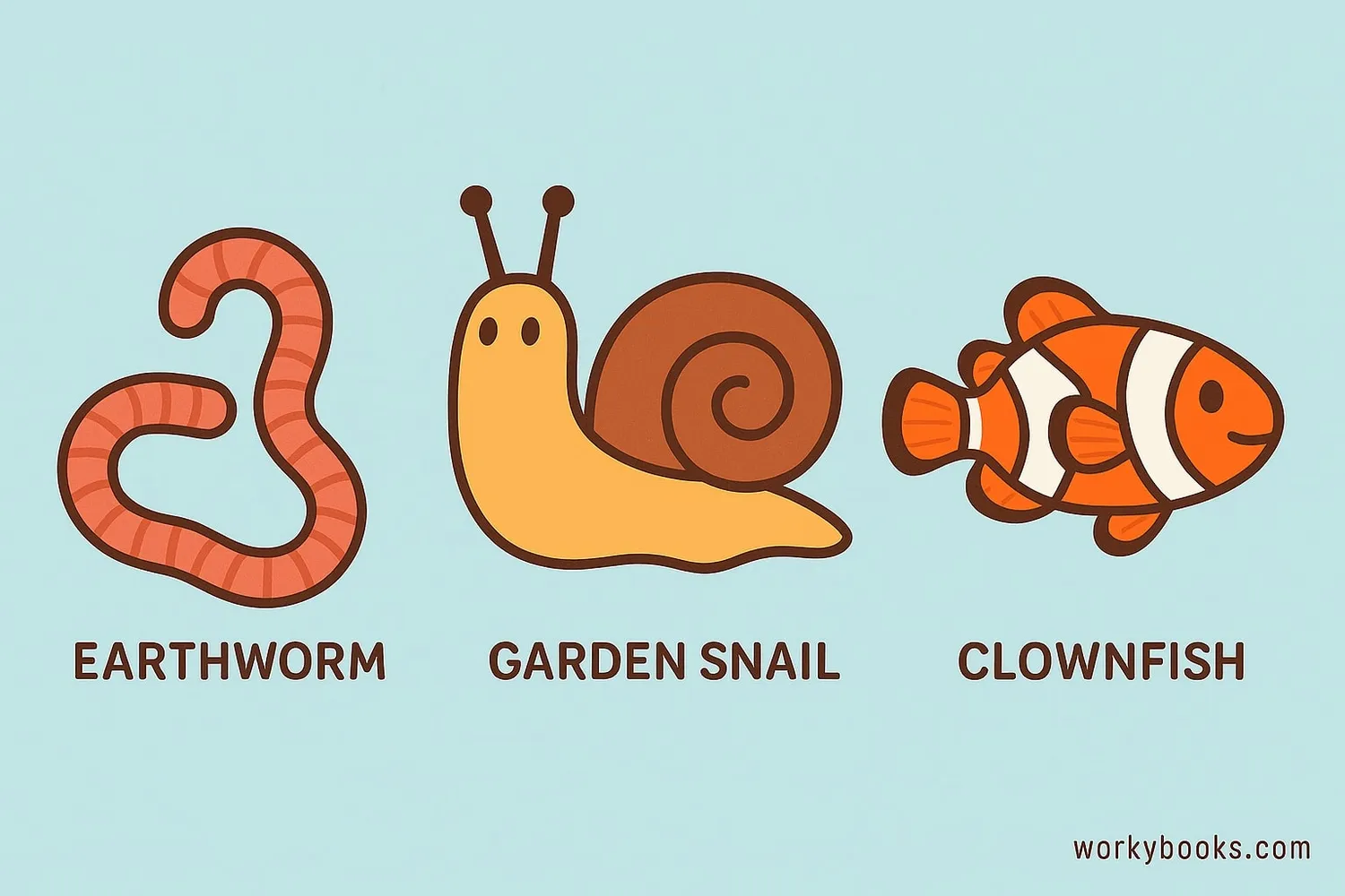 Collection of common hermaphroditic animals: earthworms, snails, and clownfish