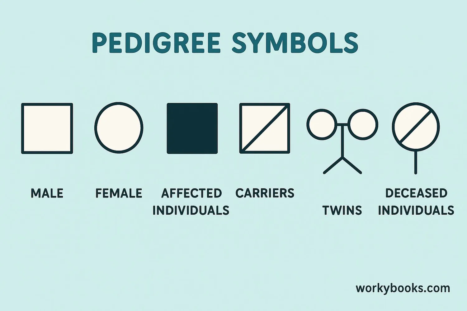 Chart showing all standard pedigree symbols with their meanings