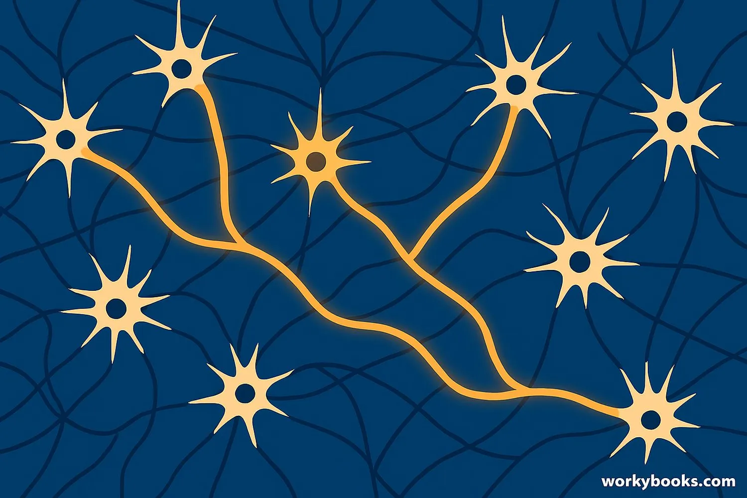 Illustration showing neural networks and brain functions enabled by synapses