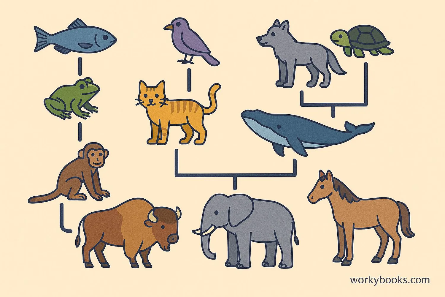 Visual representation of evolutionary relationships between different species
