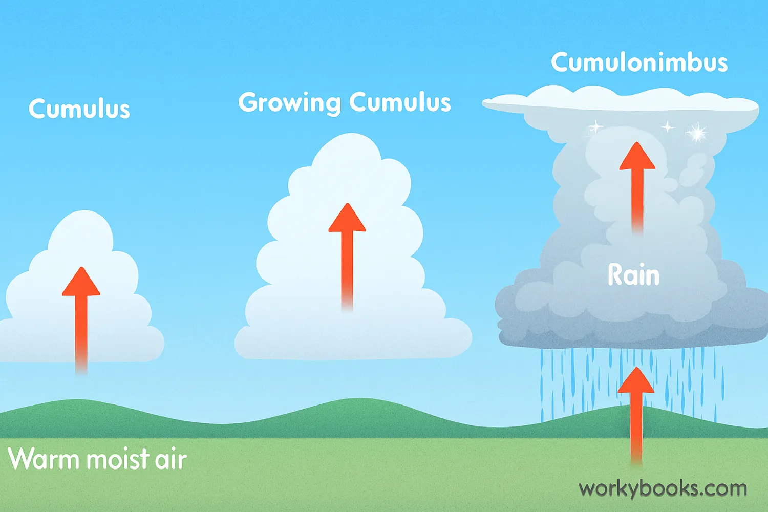Diagram showing the formation process of cumulonimbus clouds from warm moist air rising