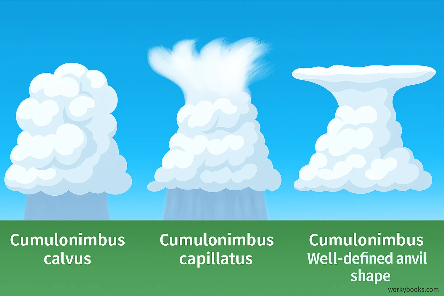 Comparison of different types of cumulonimbus clouds including calvus, capillatus, and incus varieties