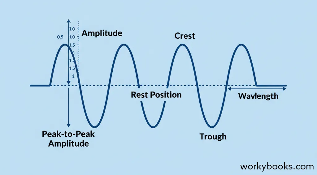 Diagram showing how to measure wave amplitude from rest position to crest