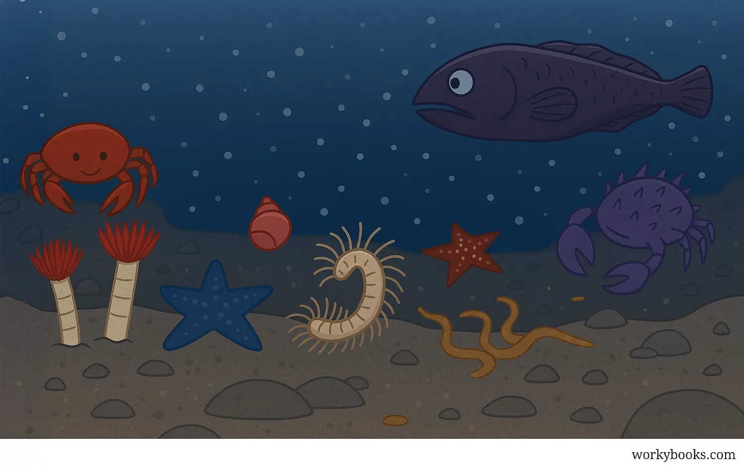 Uncropped benthic zone with marine snow, crabs, tube worms, sea stars, and deep-sea fish. 📝 Image Caption: Uncropped view of benthic life thriving through detritus feeding and chemosynthesis.