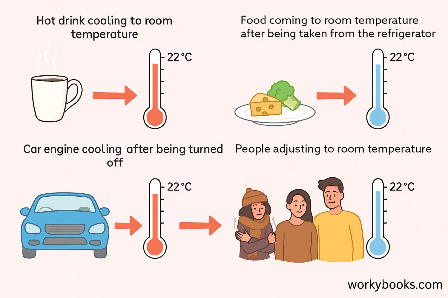 Everyday examples of thermal equilibrium including food and drinks