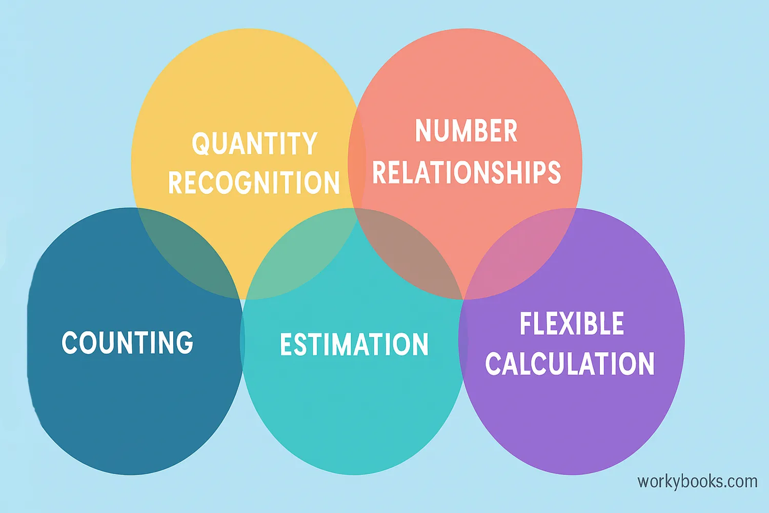 Diagram showing the different components of number sense