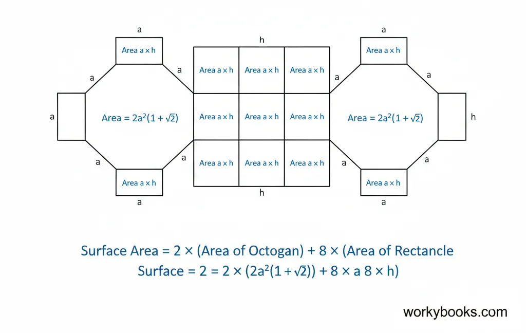 Net of an octagonal prism unfolded to show all faces for surface area calculation