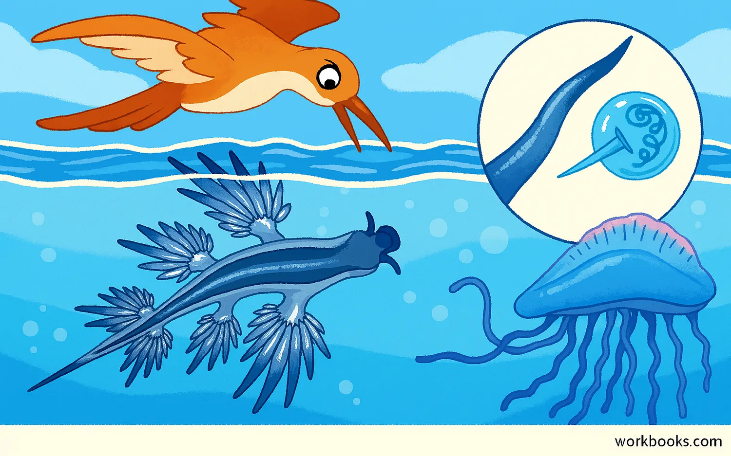 Blue dragon sea slug stores stinging cells in cerata to defend against predators.