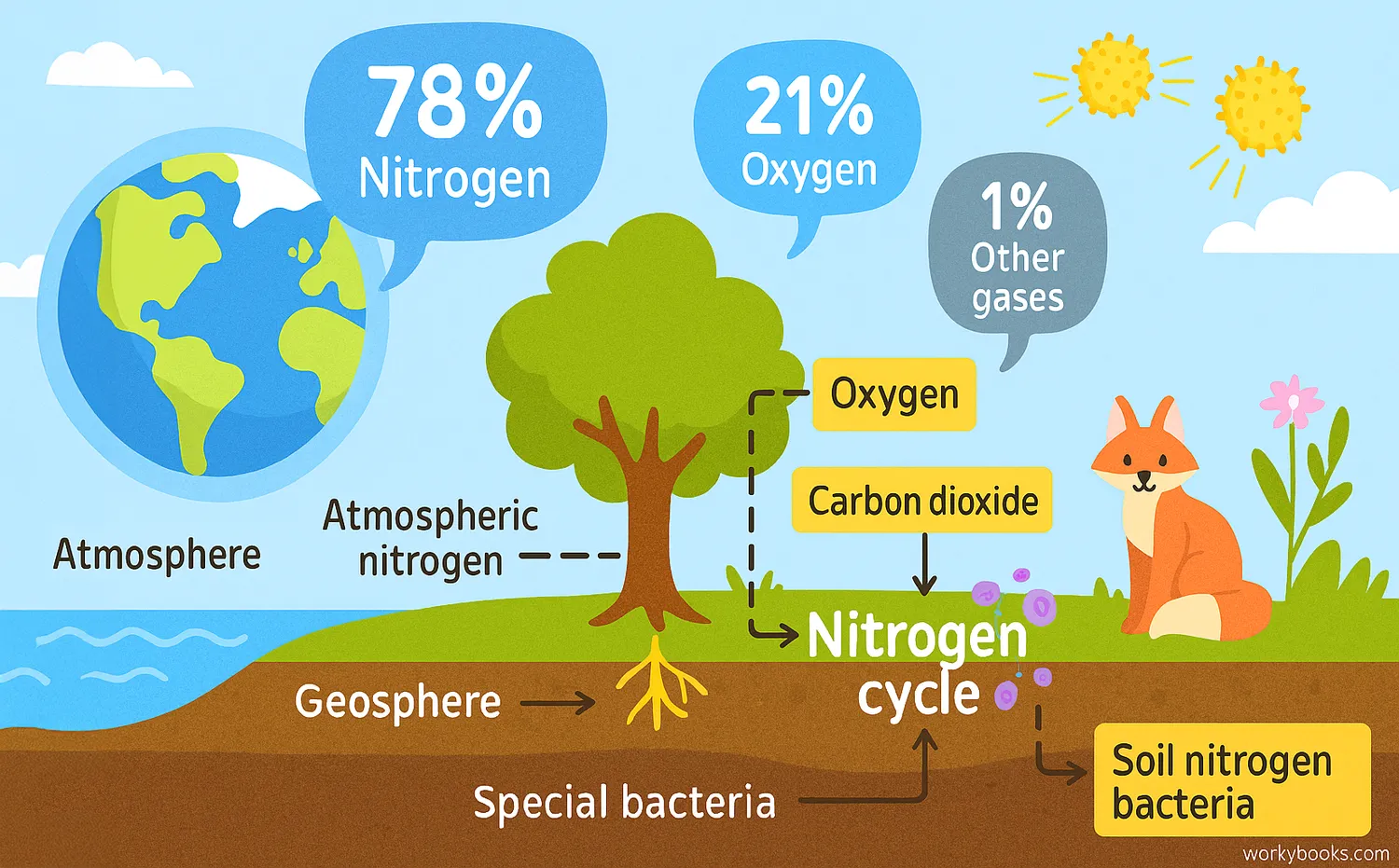 Earth’s atmosphere and nitrogen cycle shown with labeled gases, ecosystems, and soil bacteria.
