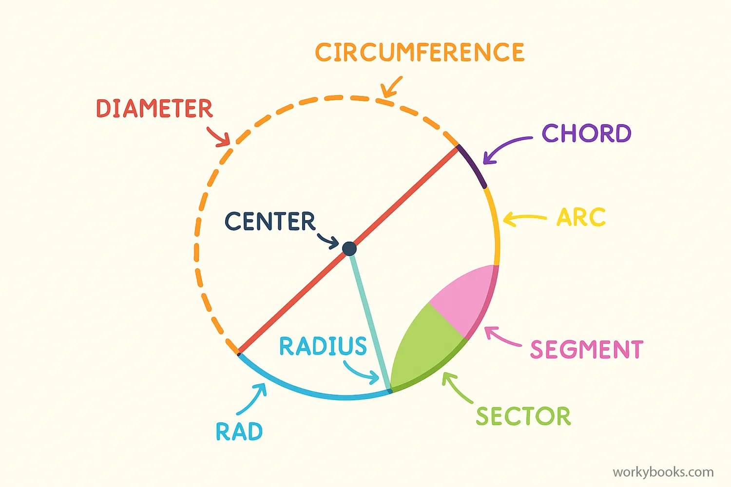 A labeled diagram showing all parts of a circle: center, radius, diameter, circumference, chord, arc, sector, and segment