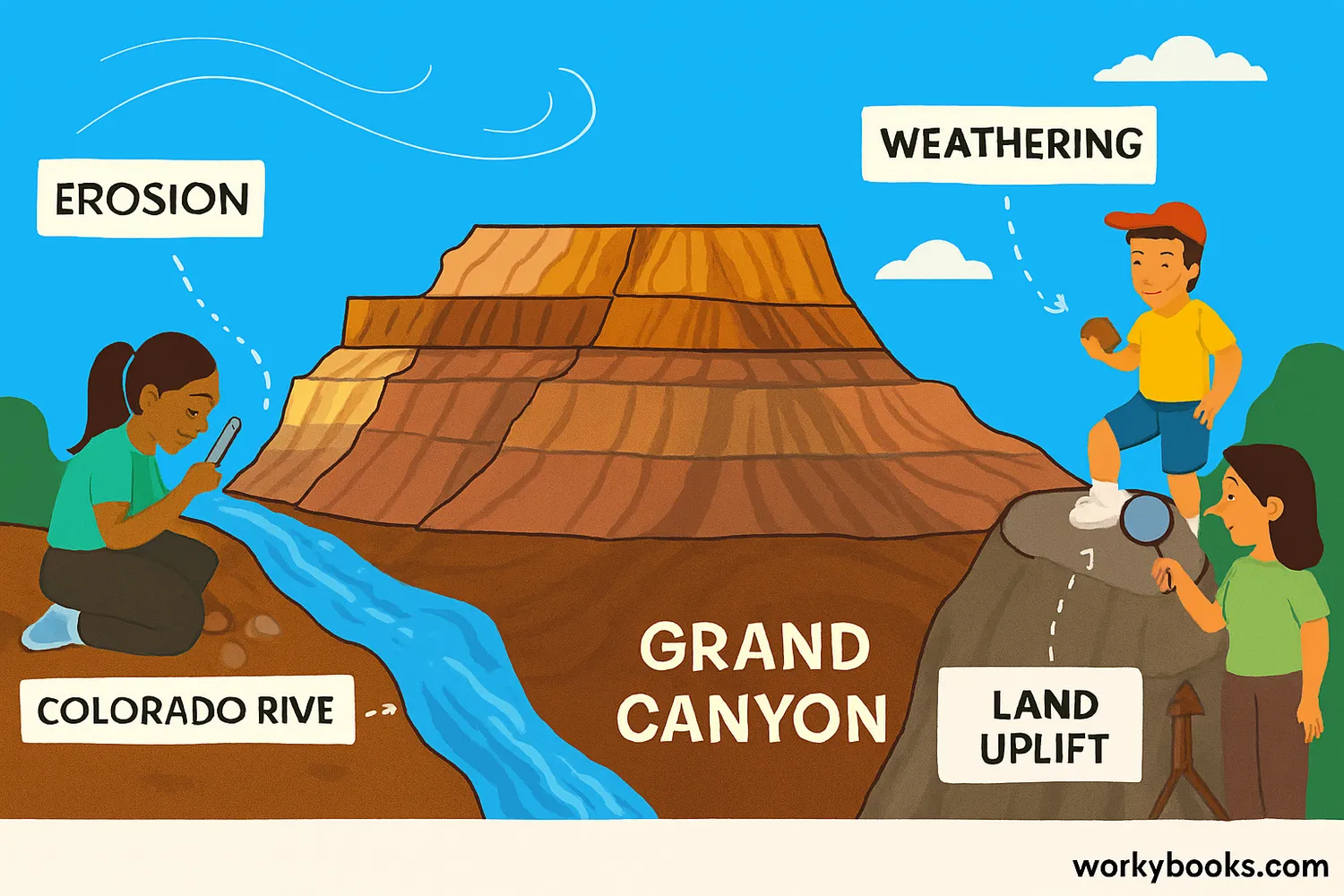 Grand Canyon formation with erosion, weathering, uplift, and labeled geological features across full width.