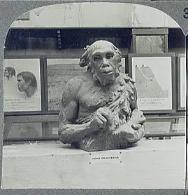 Prehistoric man. 3.--The Neanderthal man, member of the hunting race inhabiting central France in Mousterian times