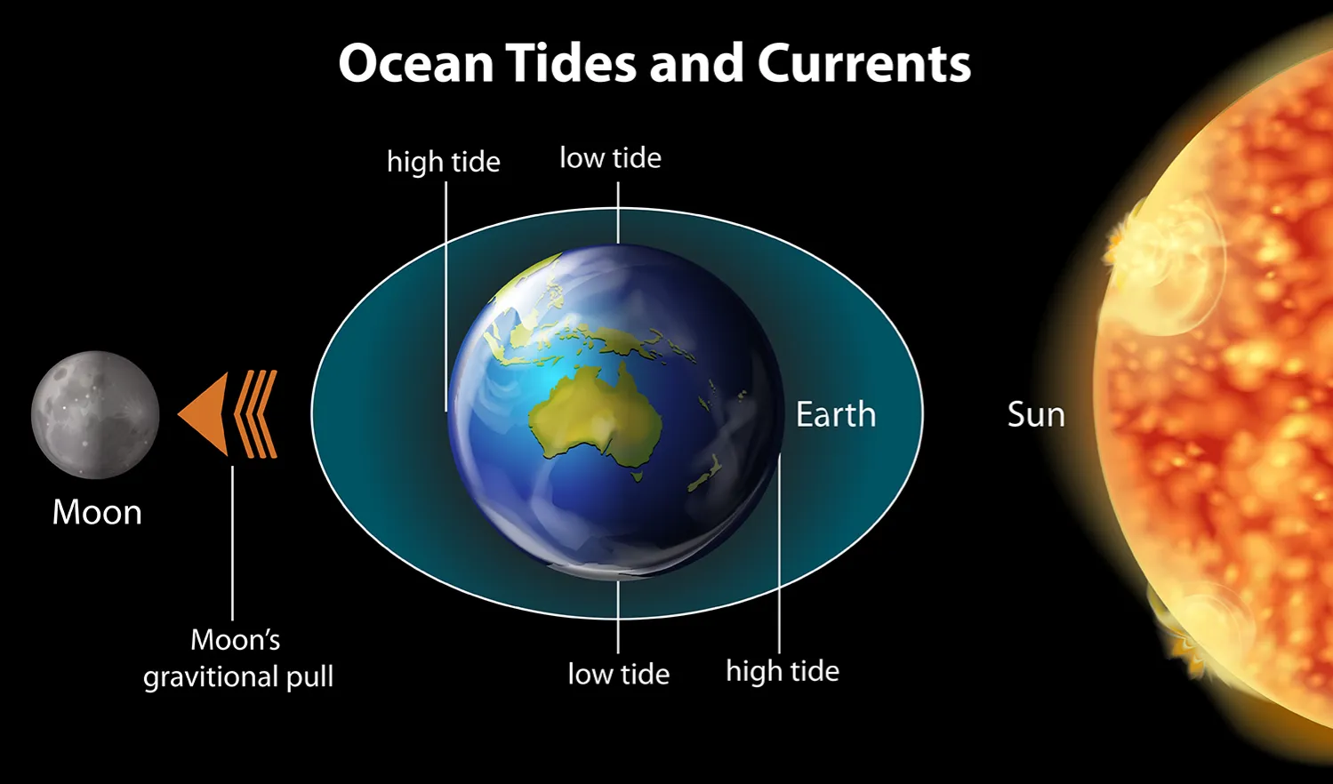How the Moon Affects Earth's Tides