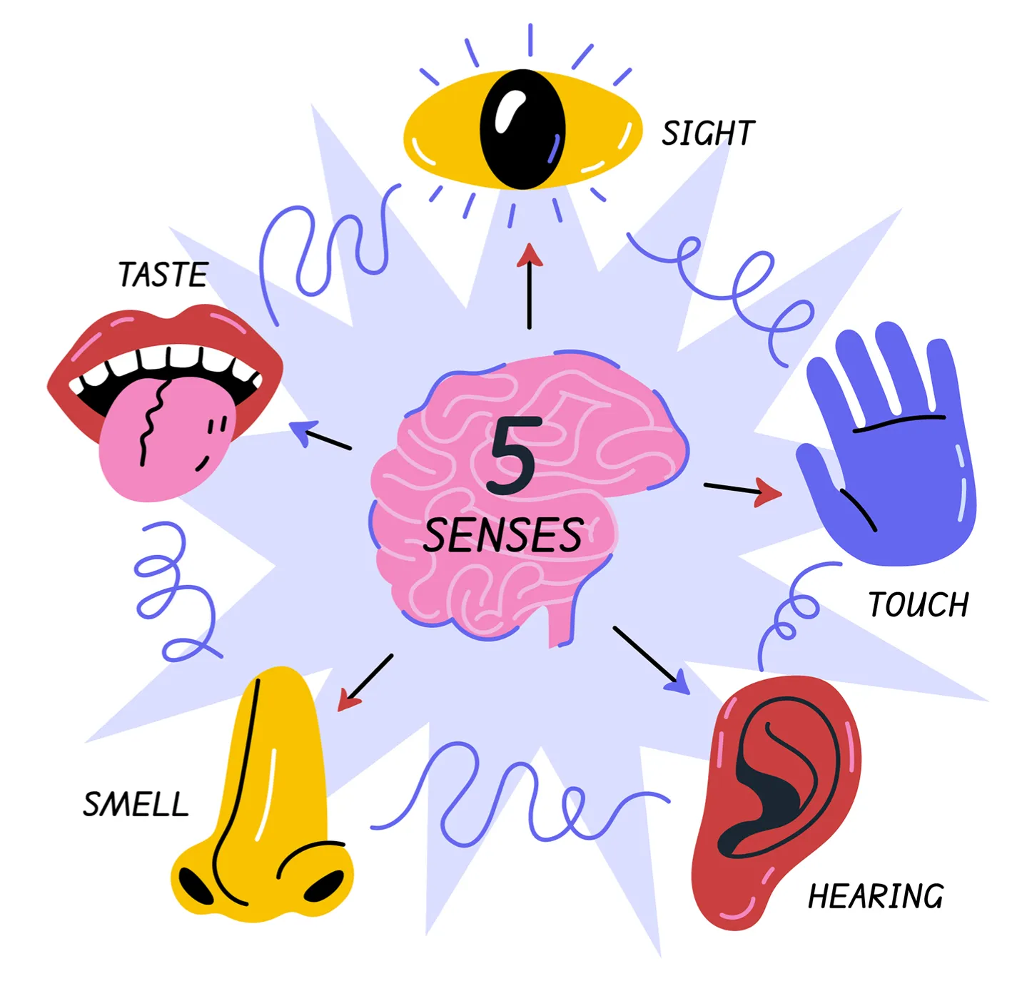Sensory Processing