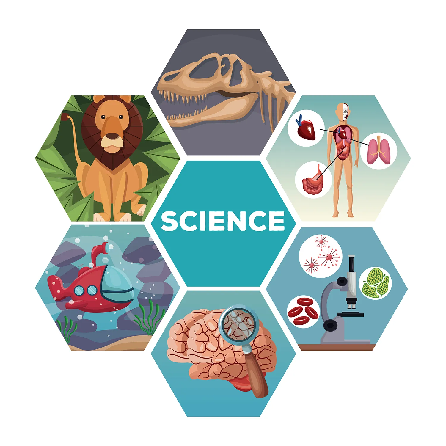 The Nature of Science