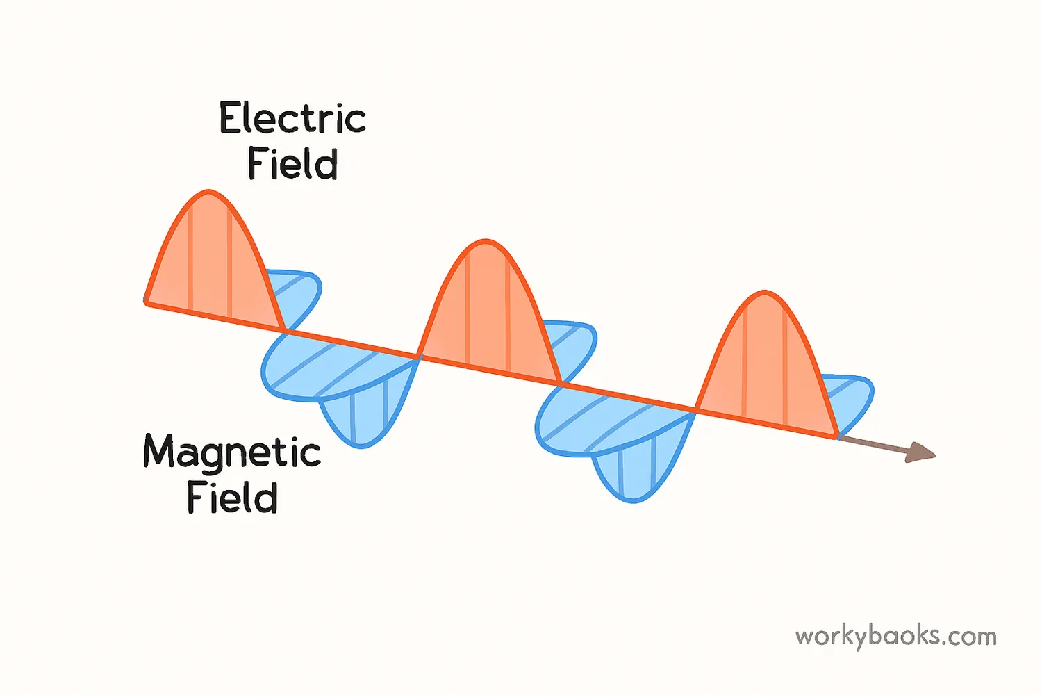 A simple diagram showing an electromagnetic wave. A red, wavy arrow represents the electric field and a blue, wavy arrow, perpendicular to the first, represents the magnetic field. Both waves are shown moving forward together in a straight line.