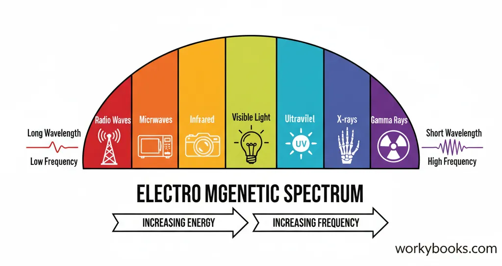 A colorful and clear diagram of the electromagnetic spectrum. It shows a continuous band from left to right, with labels for each type of wave: Radio waves, Microwaves, Infrared, Visible Light, Ultraviolet, X-rays, and Gamma rays. Arrows indicate that wavelength decreases and frequency/energy increases from left to right. Simple icons or examples (like a radio tower, a microwave oven, the sun) are included for each section.