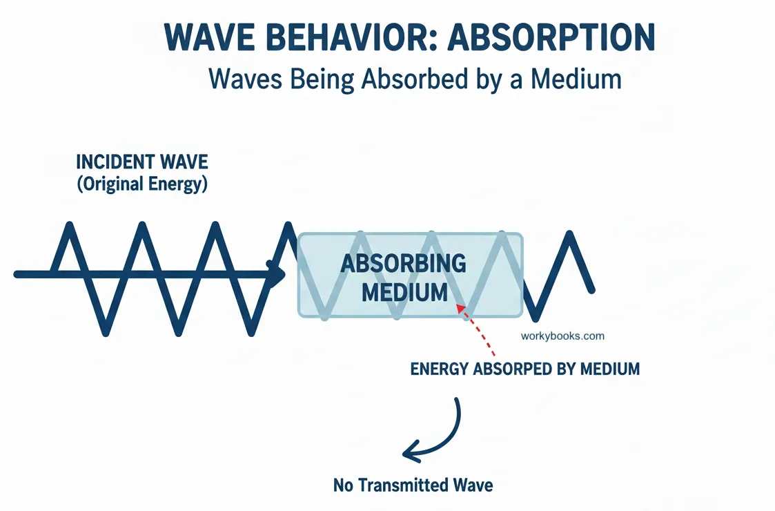 Wave-Behavior-Absorption