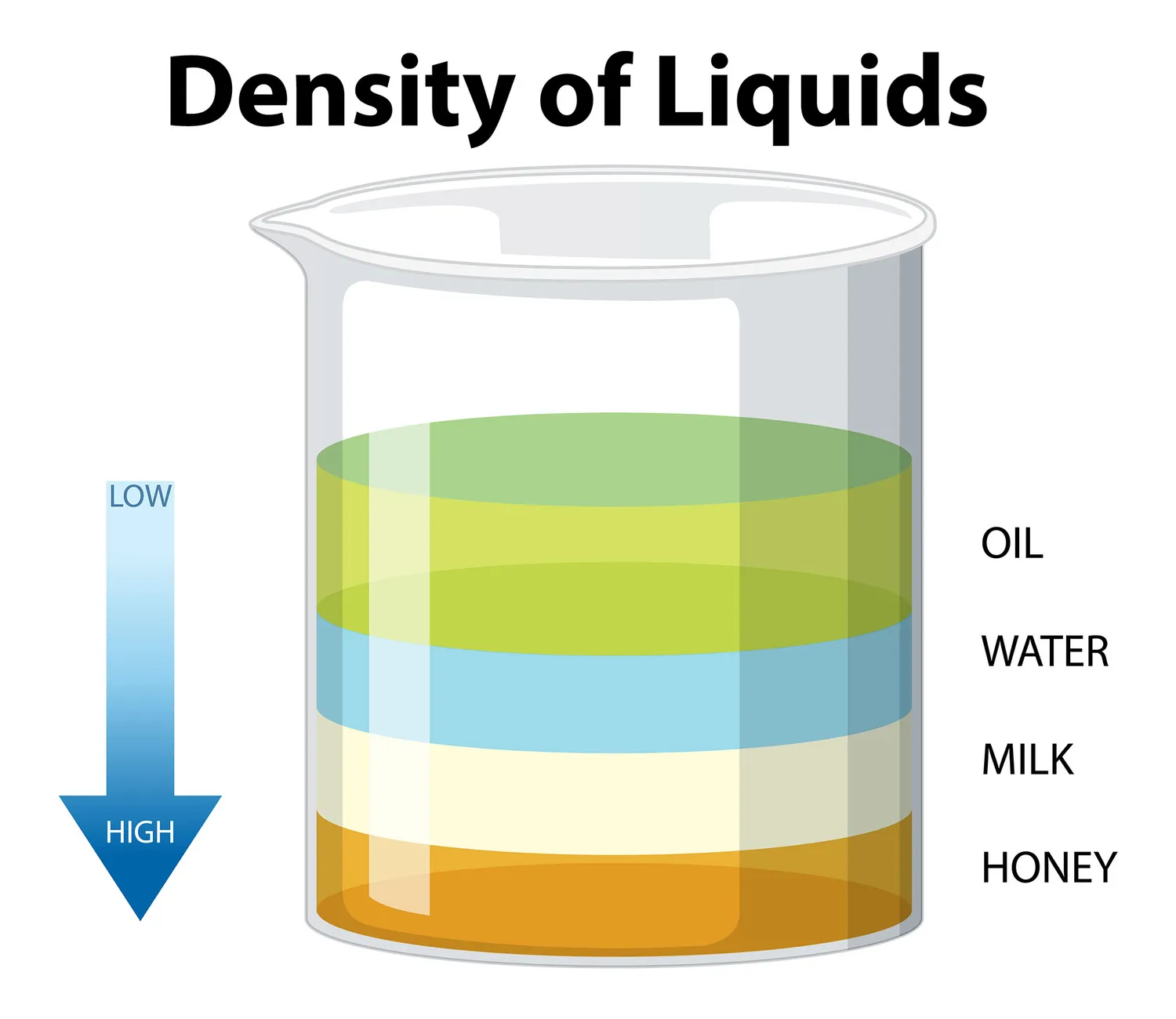 Layered liquids showing density differences in a clear cylinder