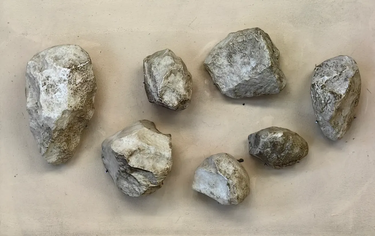 Tools of Oldowan culture in the Timiryazev museum