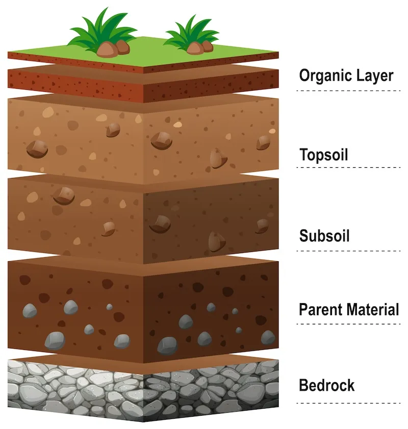 Top-soil