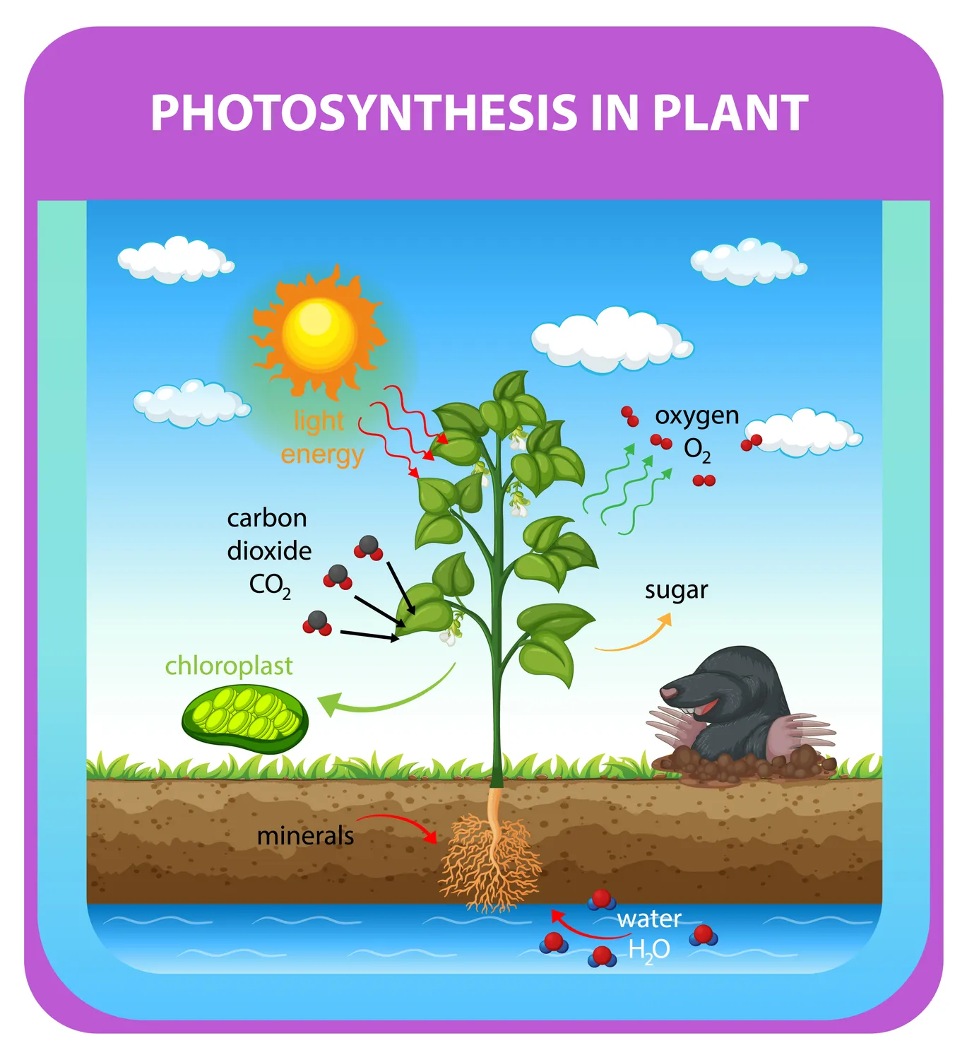 Light Energy Transfer