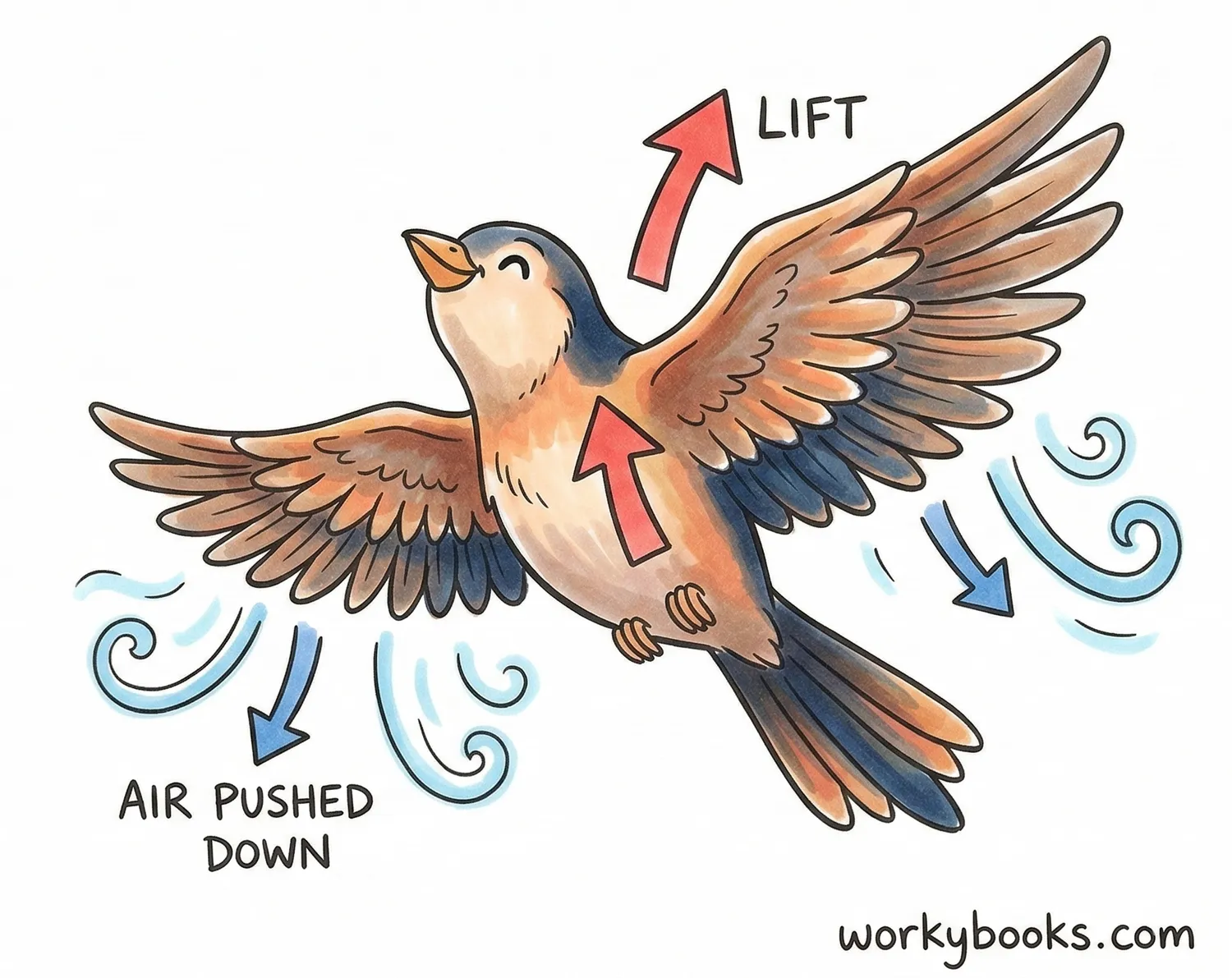 Bird creating lift.