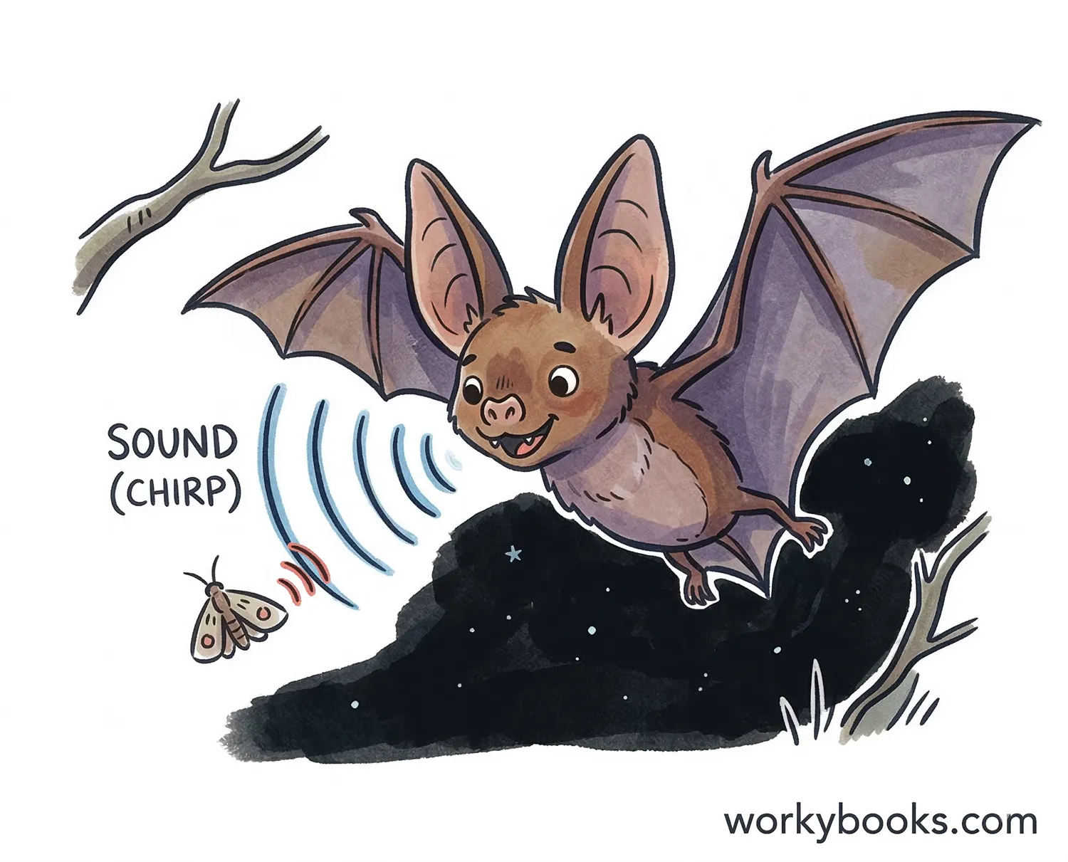 Bat finding moth with sound.