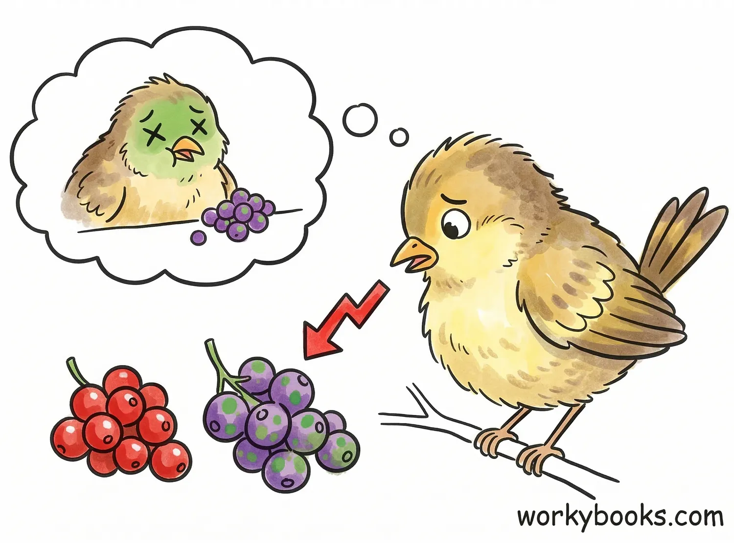Bird avoids bad berries.