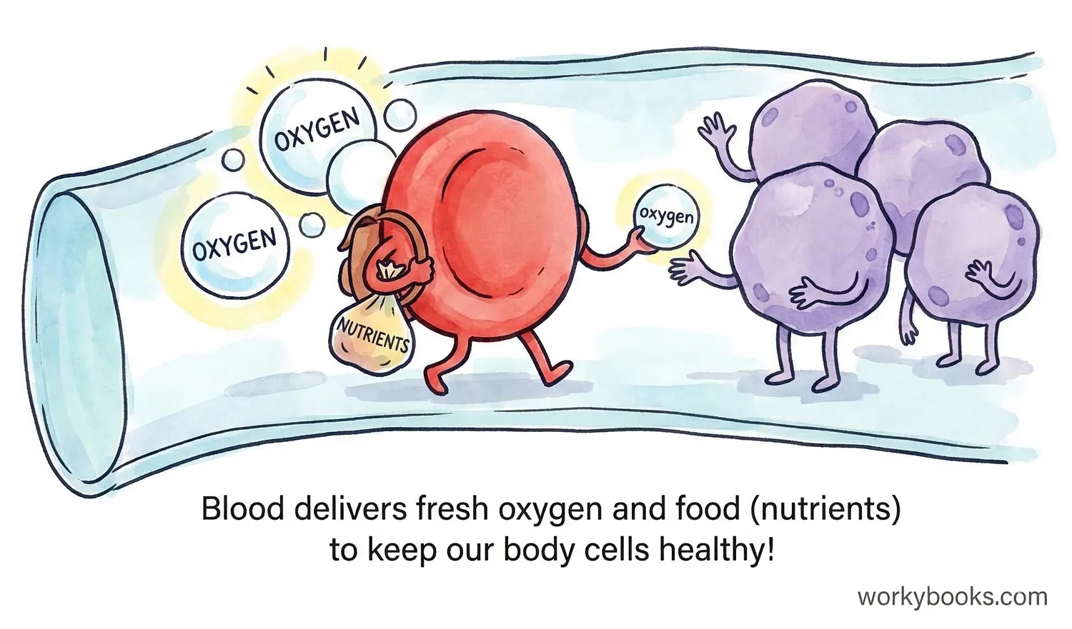 Illustration of a red blood cell delivering oxygen and nutrients to cells.