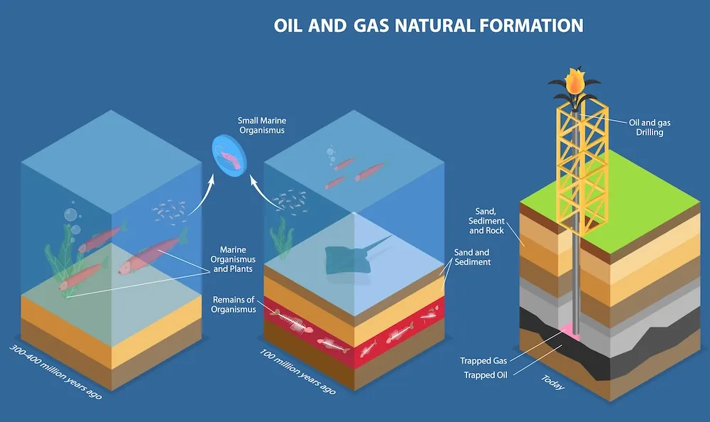 Oil-Gas-formation