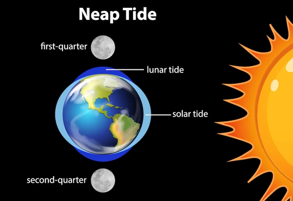 neap-tide