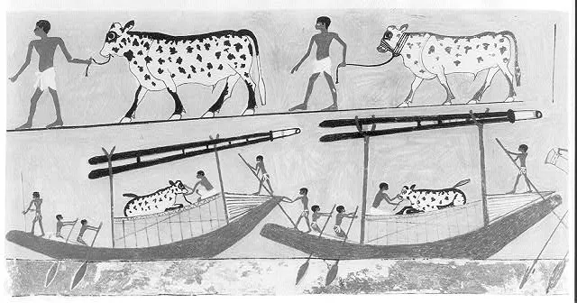 [Ancient Egyptian Paintings]