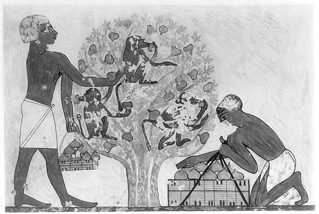 [Ancient Egyptian Paintings]