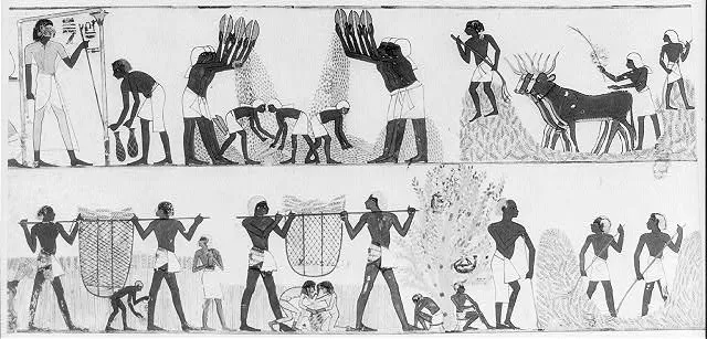 [Ancient Egyptian Paintings]
