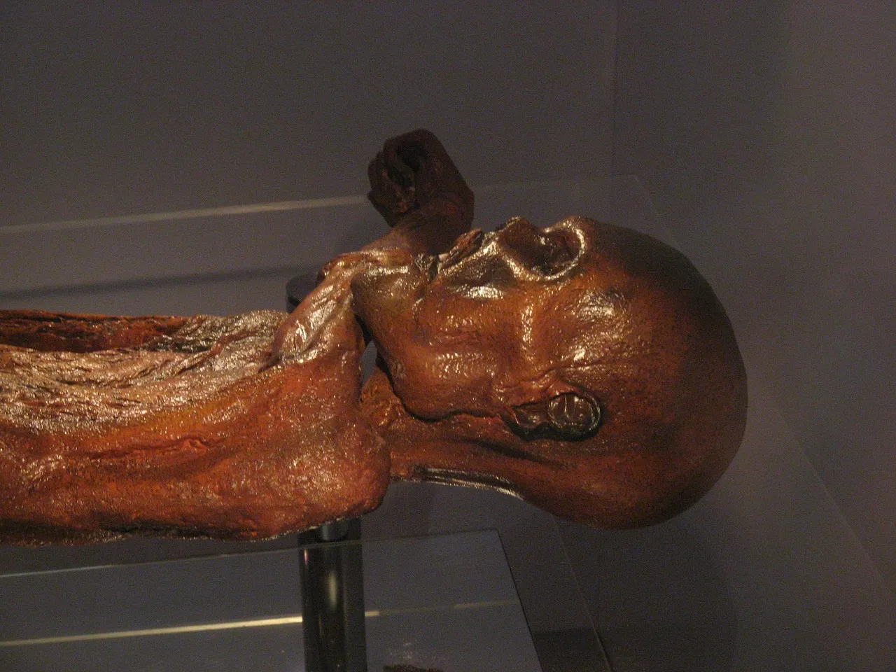 ötzi, human, mummy, ötzi, ötzi, ötzi, ötzi, ötzi