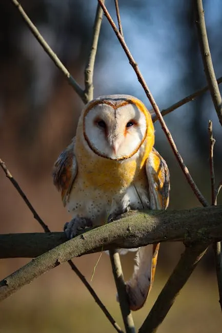 A barn owl perched on a branch, capturing the essence of wildlife in autumn.