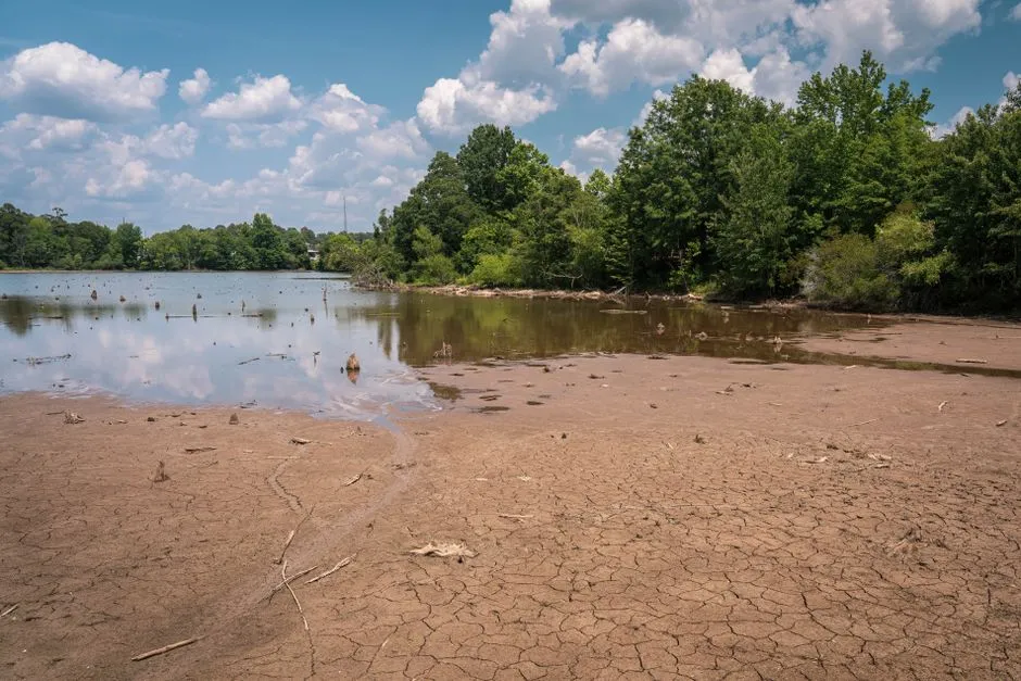 A parched lakebed and forested shoreline under a bright, cloudy sky.