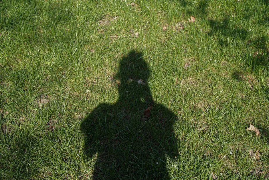 A person's shadow cast on green grass on a sunny day, viewed from above.