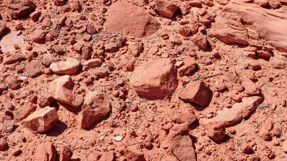 A textured view of dry red soil with scattered stones and rocks in an arid environment.