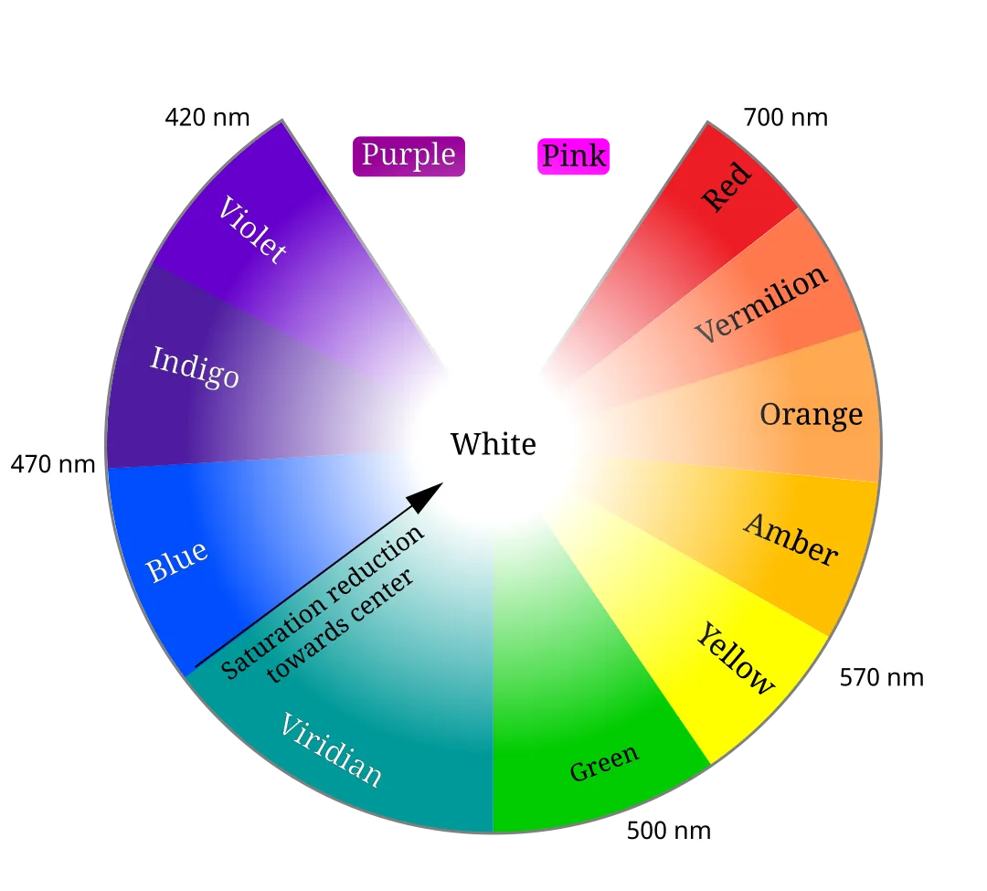 Additive light spectrum color circle (Schiffman, 1990)