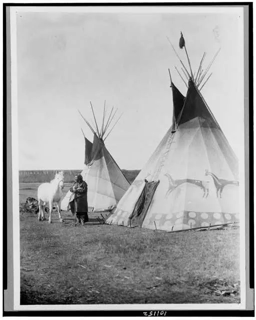 Blackfoot tipis