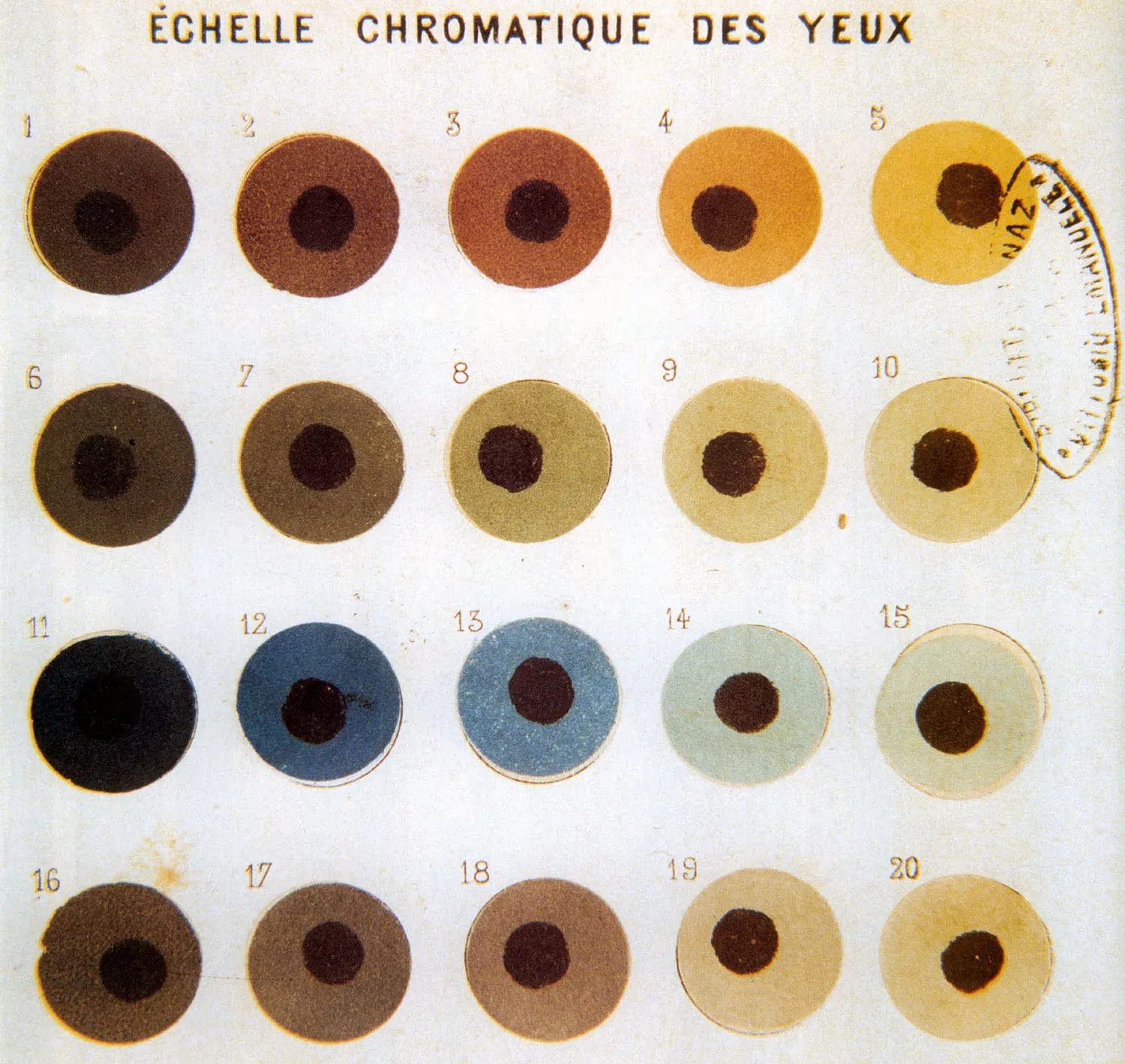 Broca Eye Color Chart