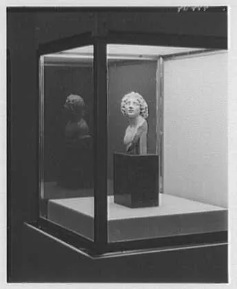 Brooklyn Museum, Brooklyn, New York. Egyptian room, detail of Alexander the Great