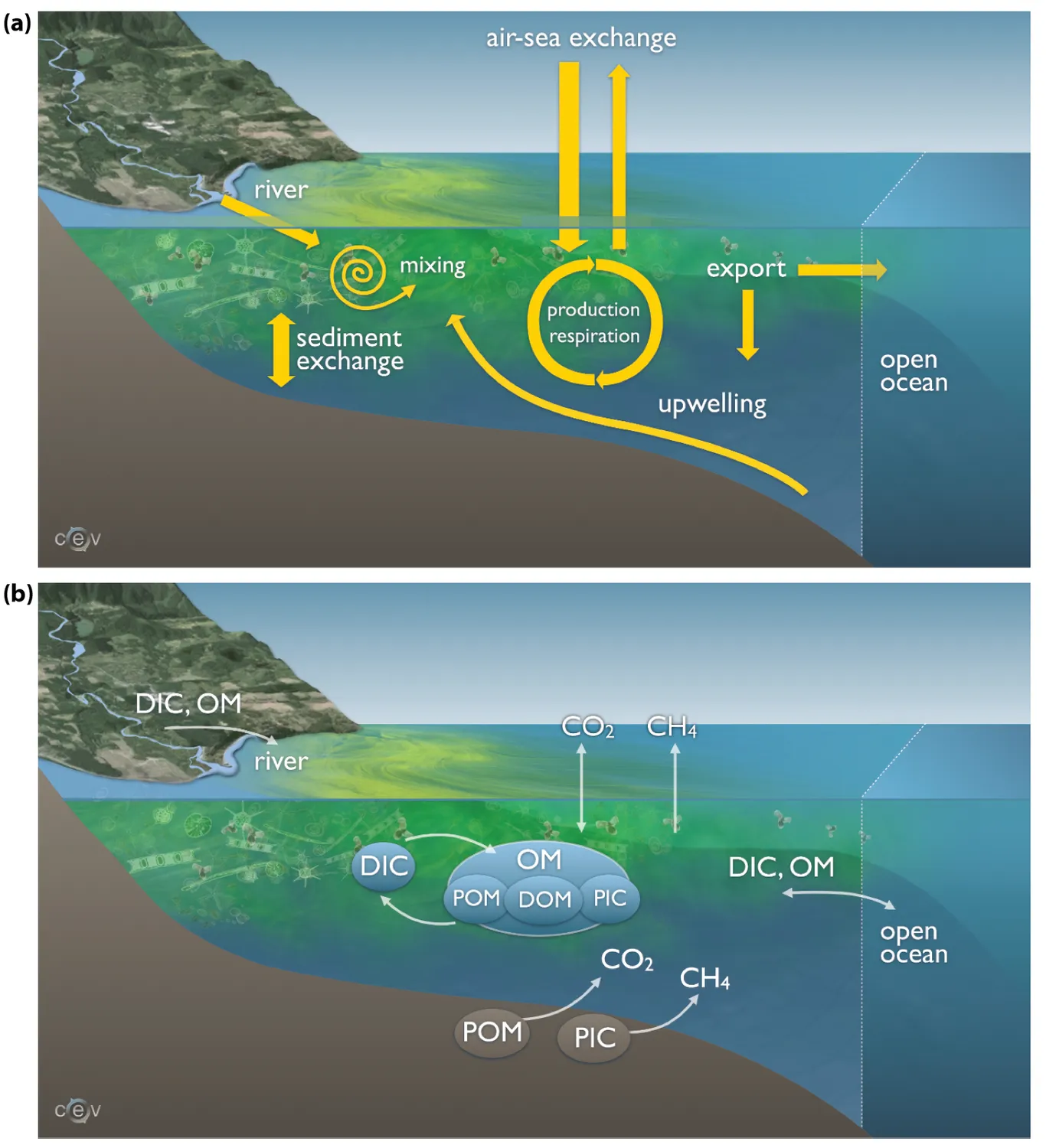 Carbon forms exchanged between land, air, and ocean in coastal regions