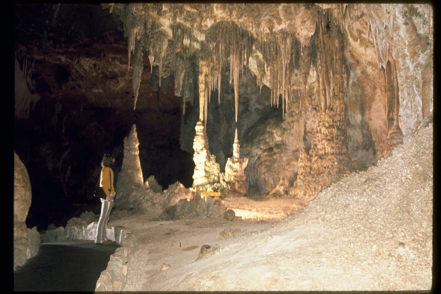 Carlsbad Caverns National Park CAVE2770