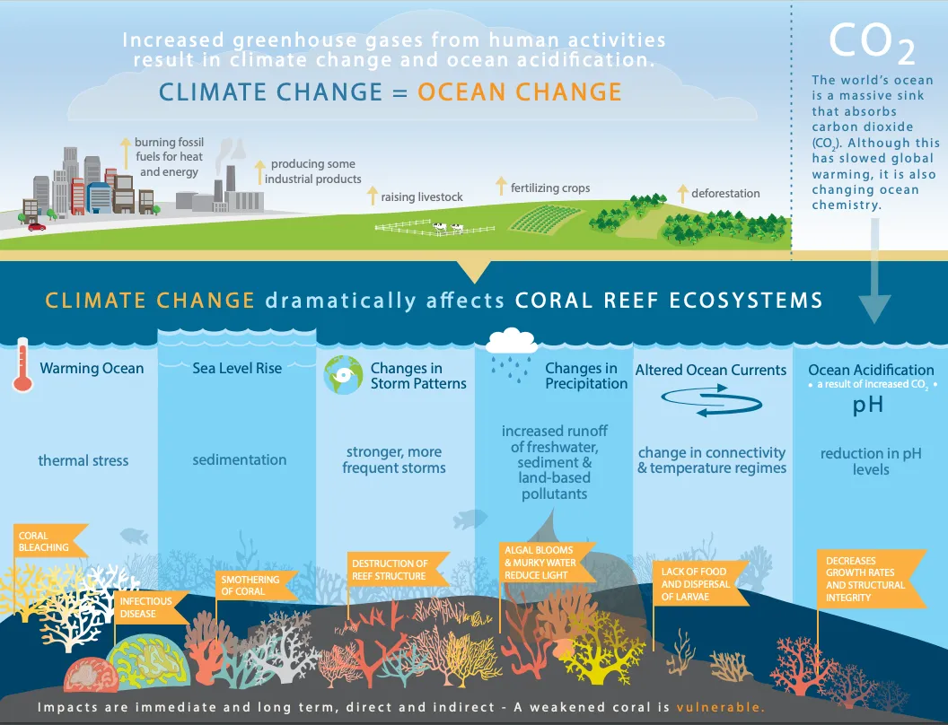 Climate change threats to coral reefs
