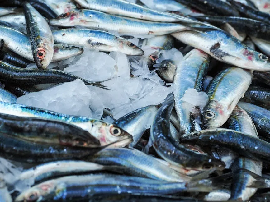 Close-up of fresh sardines on ice at a seafood market, highlighting freshness and quality.